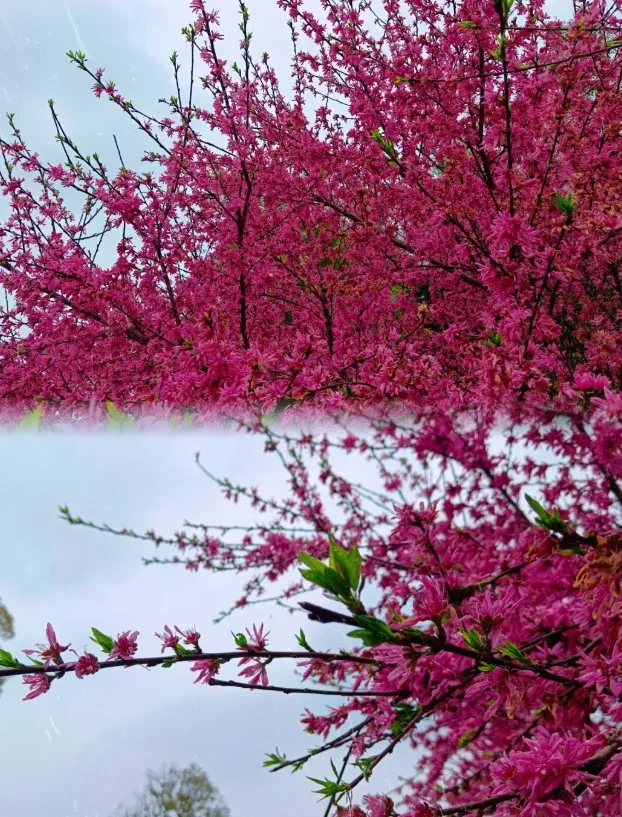 40e0e27dc5e00f3f692bf300761976b8-sz_1304149