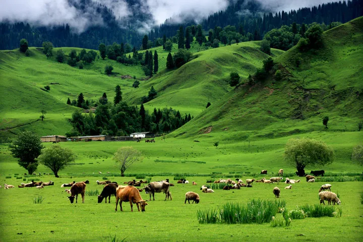 40eb03a30558d05071520773d3c5274e-sz_127592