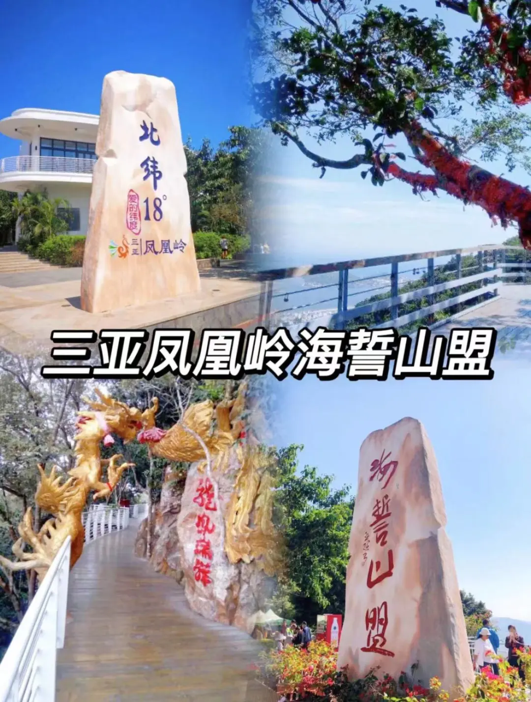 4126e98fad57aad83c81b1e3a4822259-sz_273821 4126e98fad57aad83c81b1e3a4822259-sz_273821