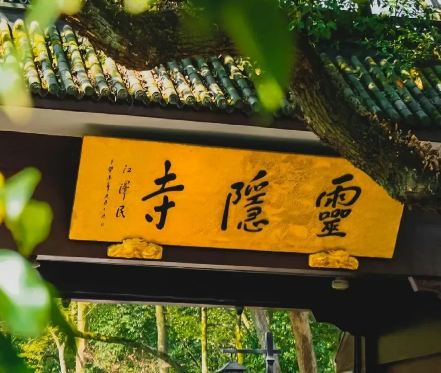 41435d6ef9750d64e0810bea5b1a4bc7