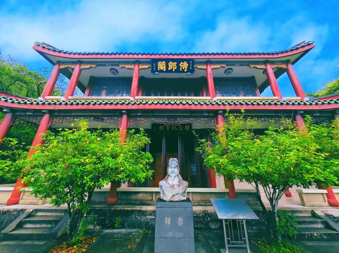 41541327b79d573aff29ca2e1b245d46-sz_2631783