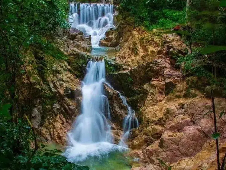 415af504dd04980960ebb8f29ebd735f-sz_118984