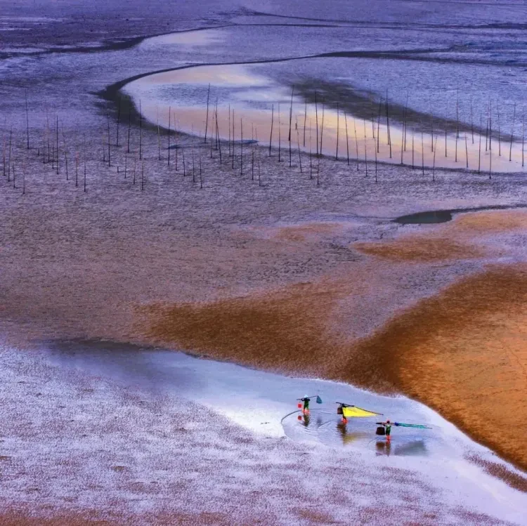 416dc460fdf1ee3ade2bf02d5dd746fa-sz_2634585