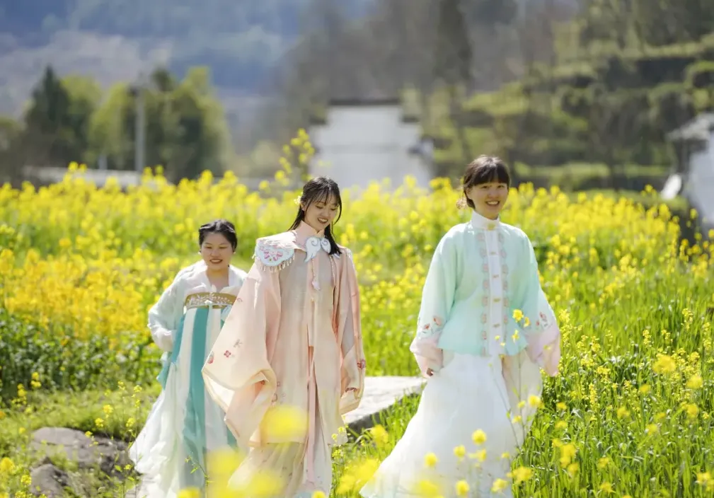 416de70a8b5165ab949966a3910d9f53-sz_1569703