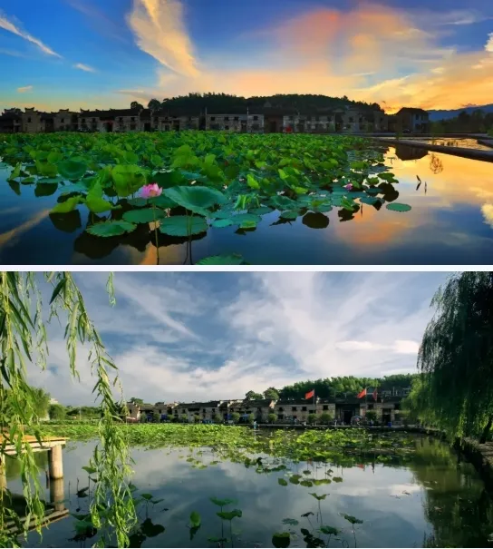 417f11938d88cd9c08b81c336f114897-sz_834111