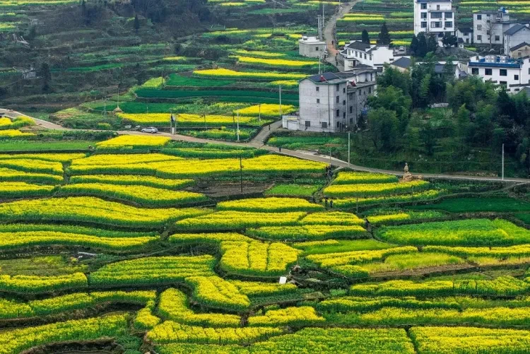 41ec05fef164b9c108843368dbd6f7ea-sz_295557