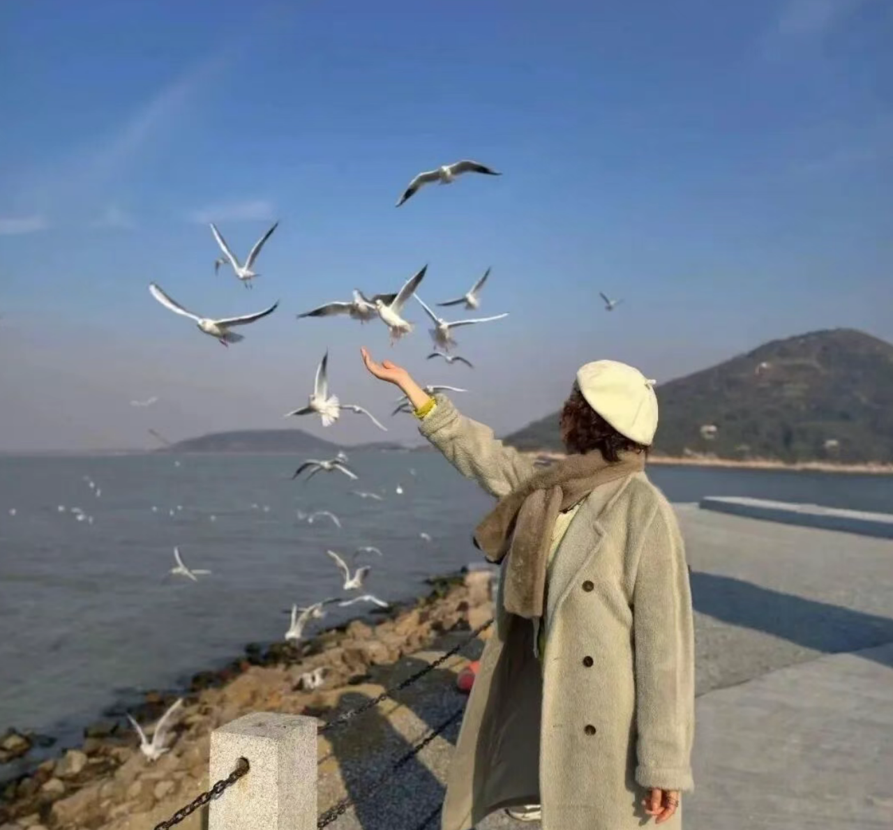 纯玩【68元去苏州看海鸥】林屋洞赏梅，横山岛看海鸥，包山寺拜财神，苏州一日游