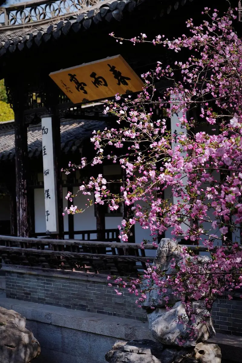 421aa81eda6834bad48fe952ae8c545c-sz_215471-1