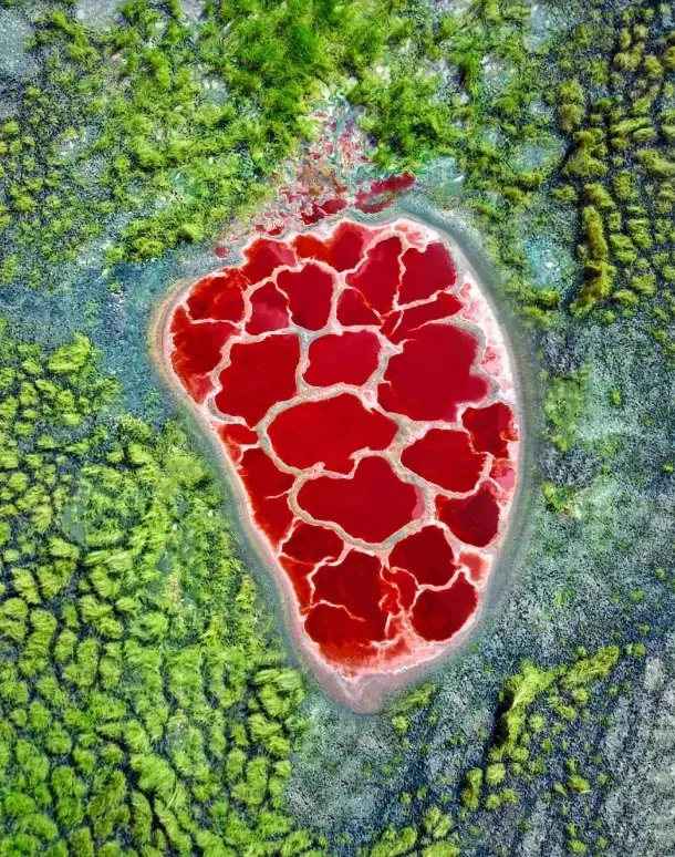 434144d4c846bbfb14576f3dc8fd31cf-sz_204488