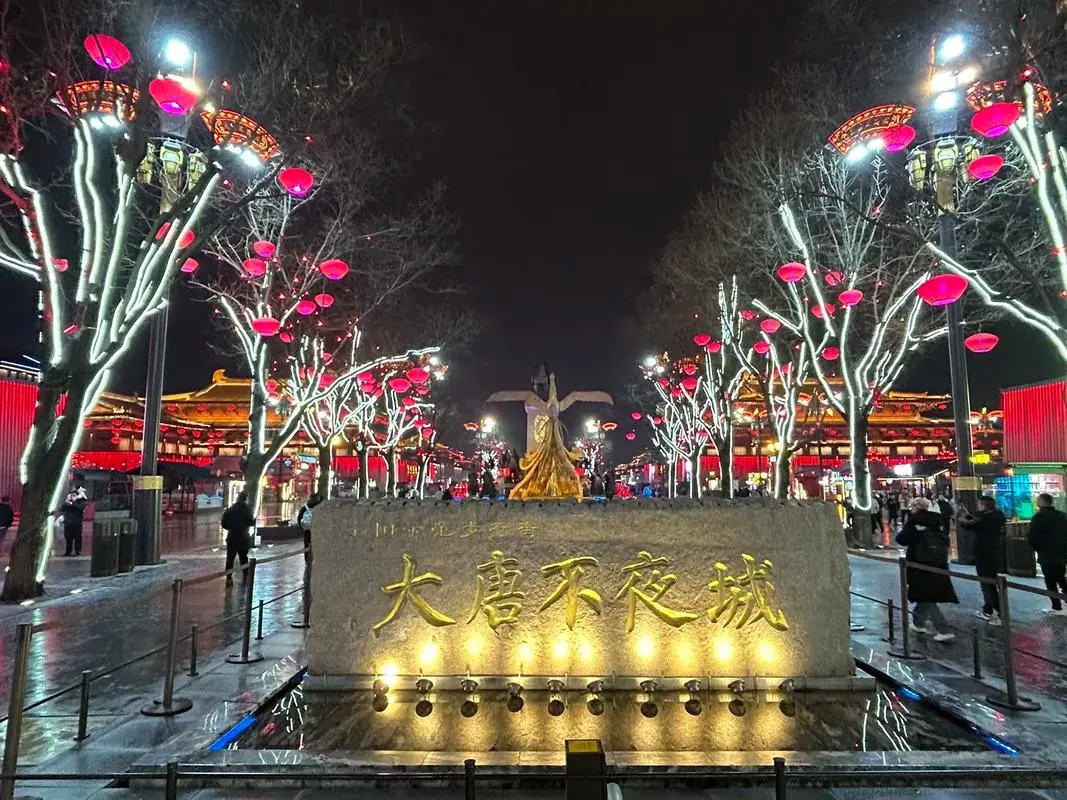 4366d77e90e6c5c00483c0c9ccba925c-sz_195479-2