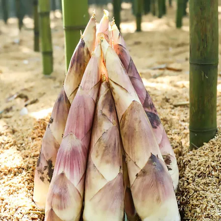 43cfe1530d11745f01d971d23ebc3373-sz_88537 43cfe1530d11745f01d971d23ebc3373-sz_88537