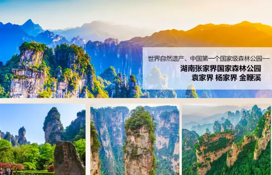 43dbe65dba99862e5b500629ecbb91f0-sz_2874153