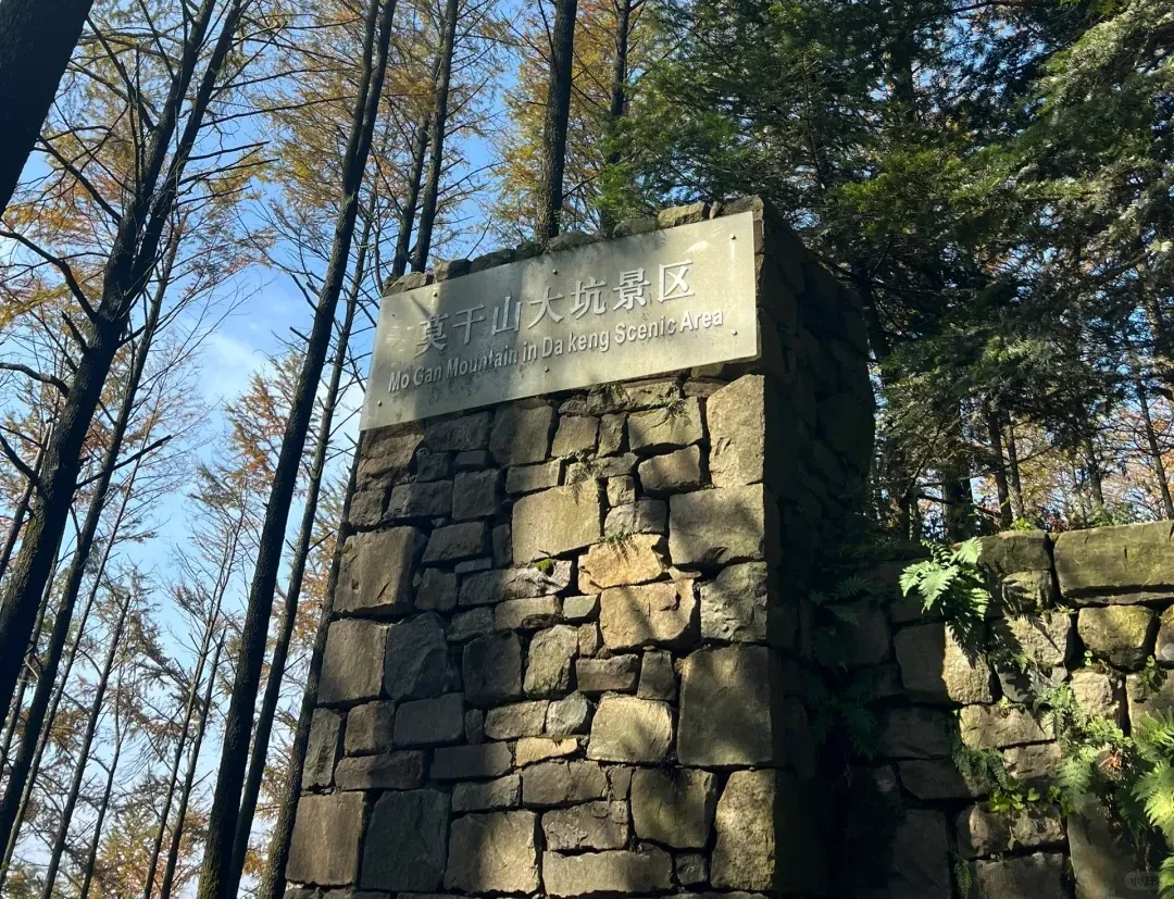 4482d08005dddabbd317e9b8c6505aa4-sz_4441453