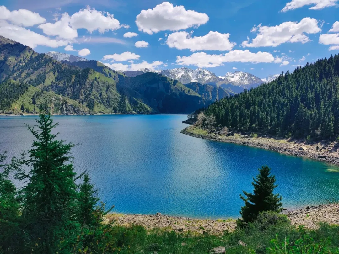 44aea08811e71335deef91f506ddb66b-sz_592679