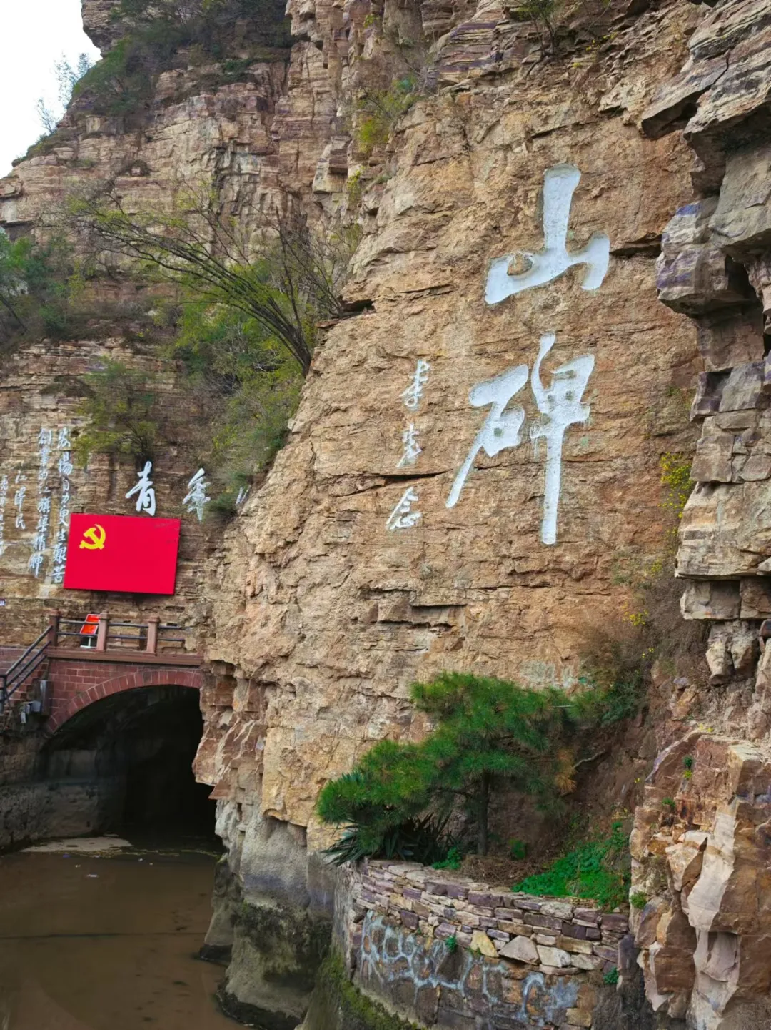 44f4b4f4f5d95cdf1445148e23ccf8c2-sz_584513