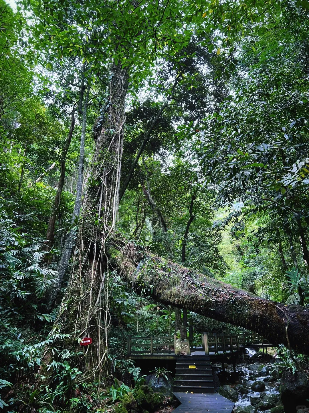 4535ee9828a7915dd4e5e1efc26abf59-sz_3957108