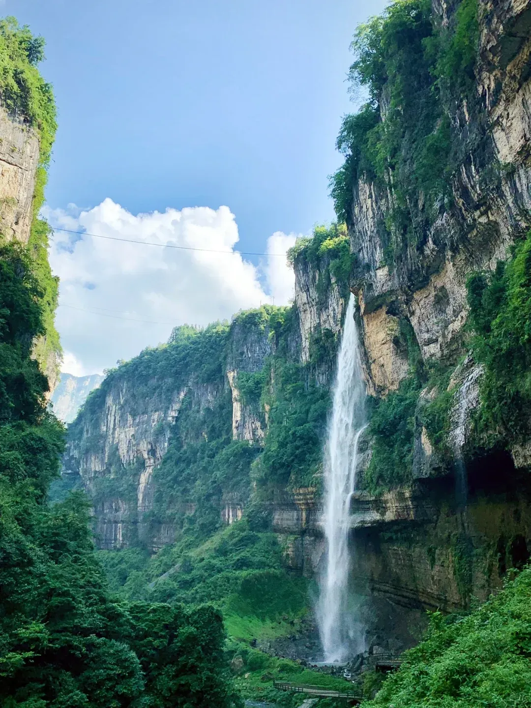 45cc4925b0709efd1effe54b76e9a49f-sz_2590184