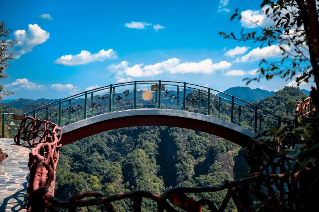 45f2e85f8fe27a8f02885bab7c395424-sz_2203227