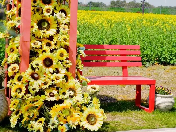 4630c4f8195dea176b065230b24a6485-sz_638991 4630c4f8195dea176b065230b24a6485-sz_638991