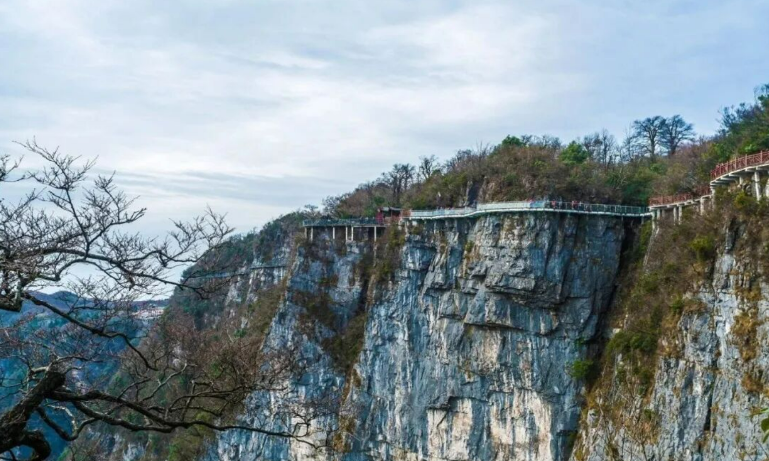 4632363f30d4e9a6b4b1db5f9bfb4cd2