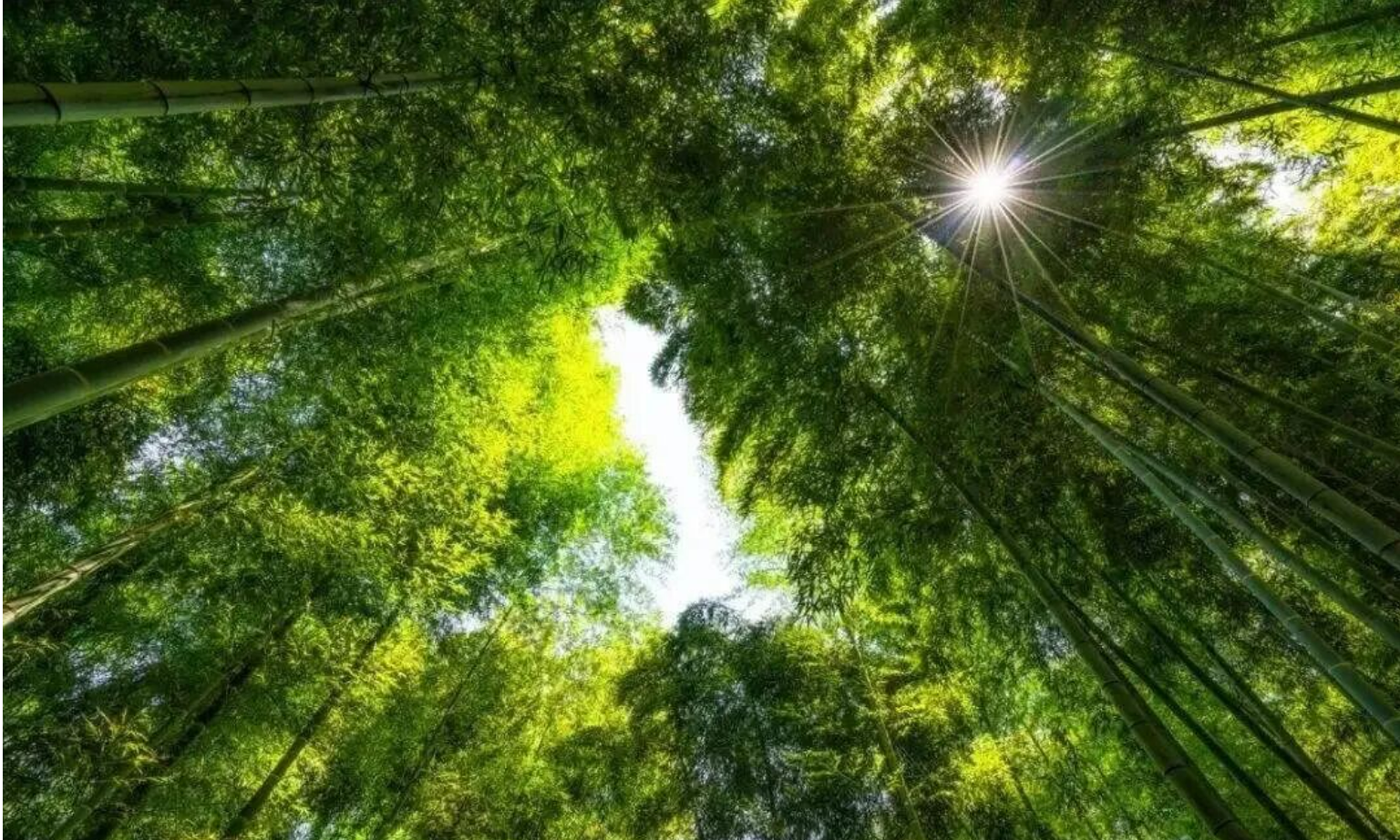 463e7c6c99c57b8d51f2bb96d81b8ce5