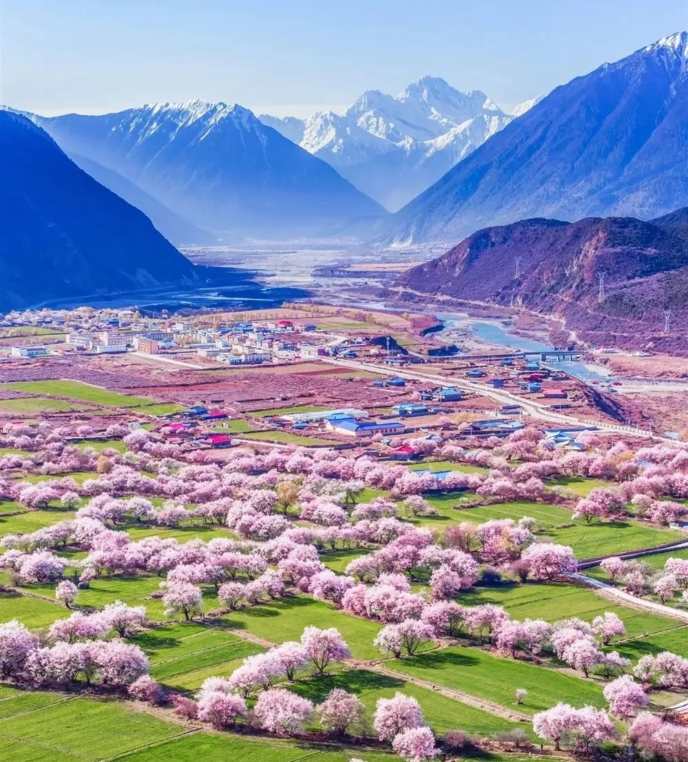 【伊路花开】双卧12天/双飞8天👉专属2+1航空座椅& 有旅拍🏅无自费无强迫购物 *升级2晚网评四钻+1晚赛里木湖东门酒店+4晚网评三钻酒店