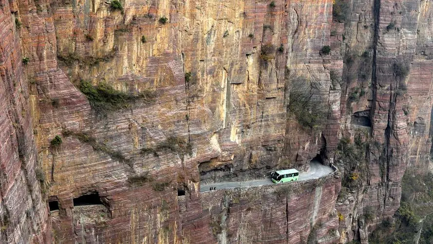 46a2819c0642702ee5ca6efc31752557-sz_136616