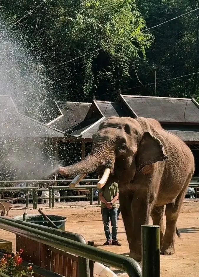 46ce5c3a4e5cdb934d8aeb56ca1ae832-sz_1808164