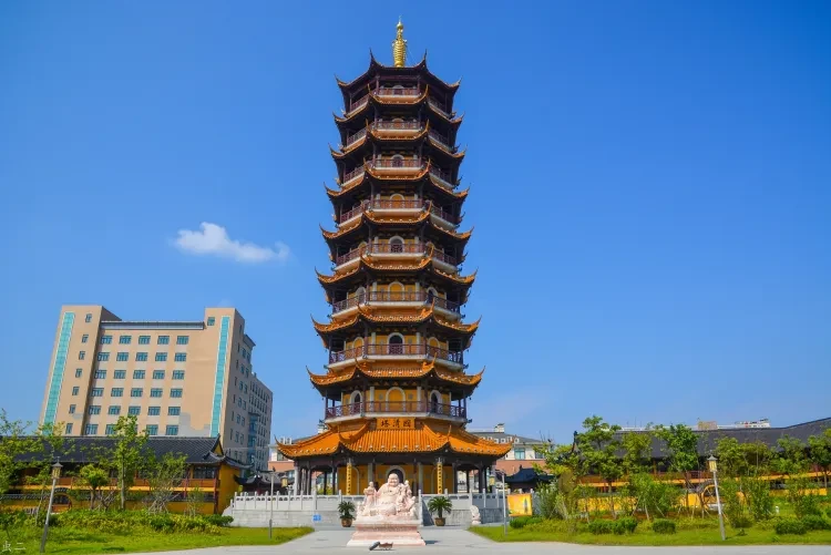 46d17493b0d39b6a0b0d51f6767bf9f6-sz_707170