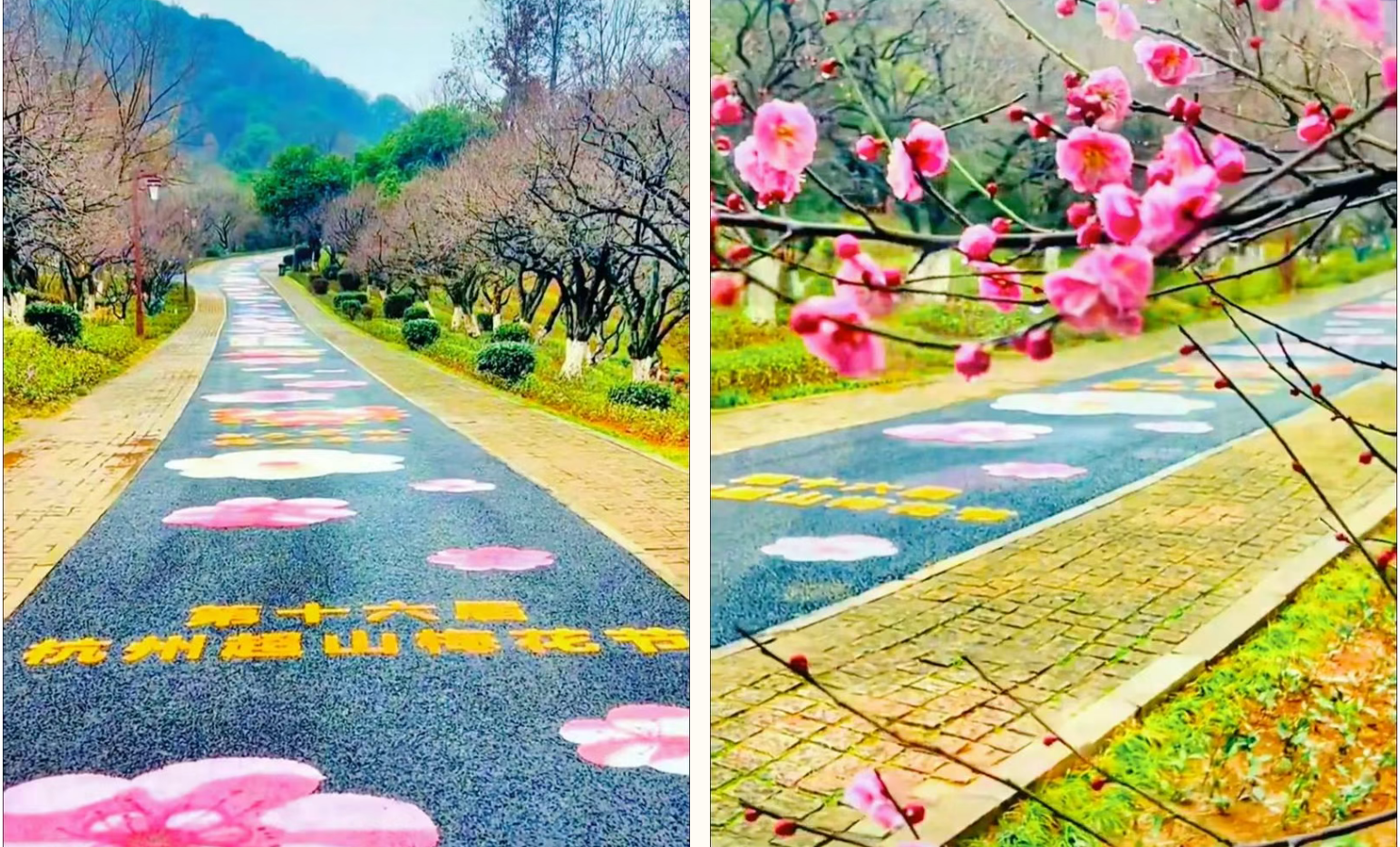 46d75ddee2868d45ce1cba8cdd56b5ef