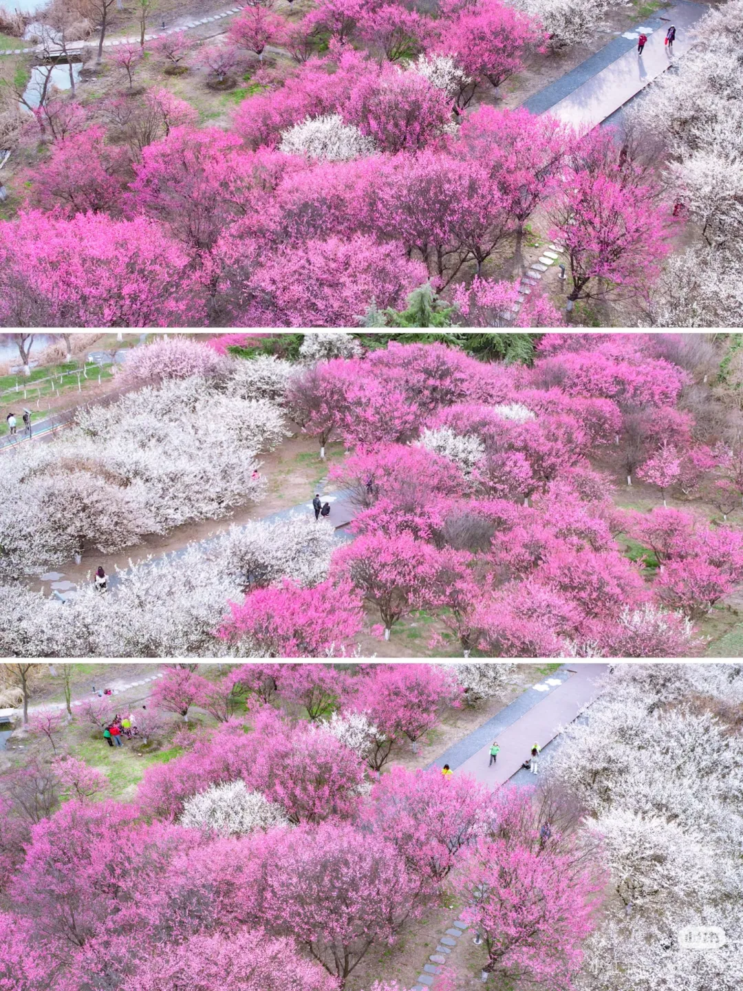 46e1023f142c44497ea69749ce31b4db-sz_2703291