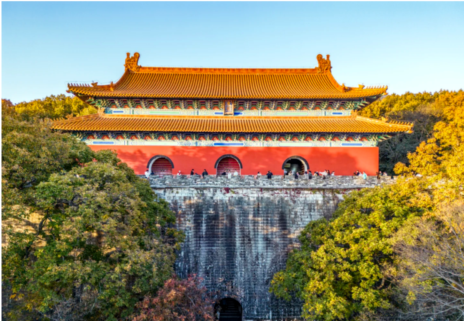 47275ac42a06b7c5ede856671ef8e06b