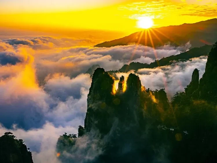 47af8a1b20bf7b39fe7d431934f6a598-sz_78124