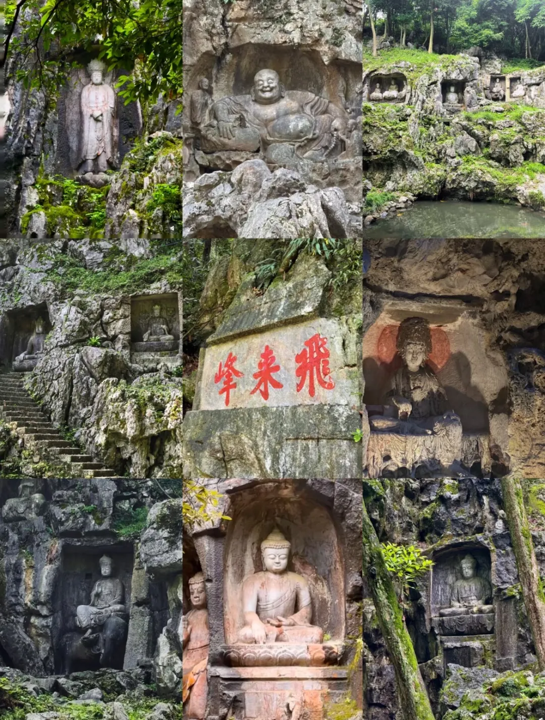 47bc6c2500fe64df9b5d29573607f22c-sz_817554-1