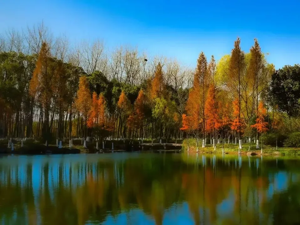 47ce9c3df6461ca74fdbd67c325beaea-sz_130657 47ce9c3df6461ca74fdbd67c325beaea-sz_130657