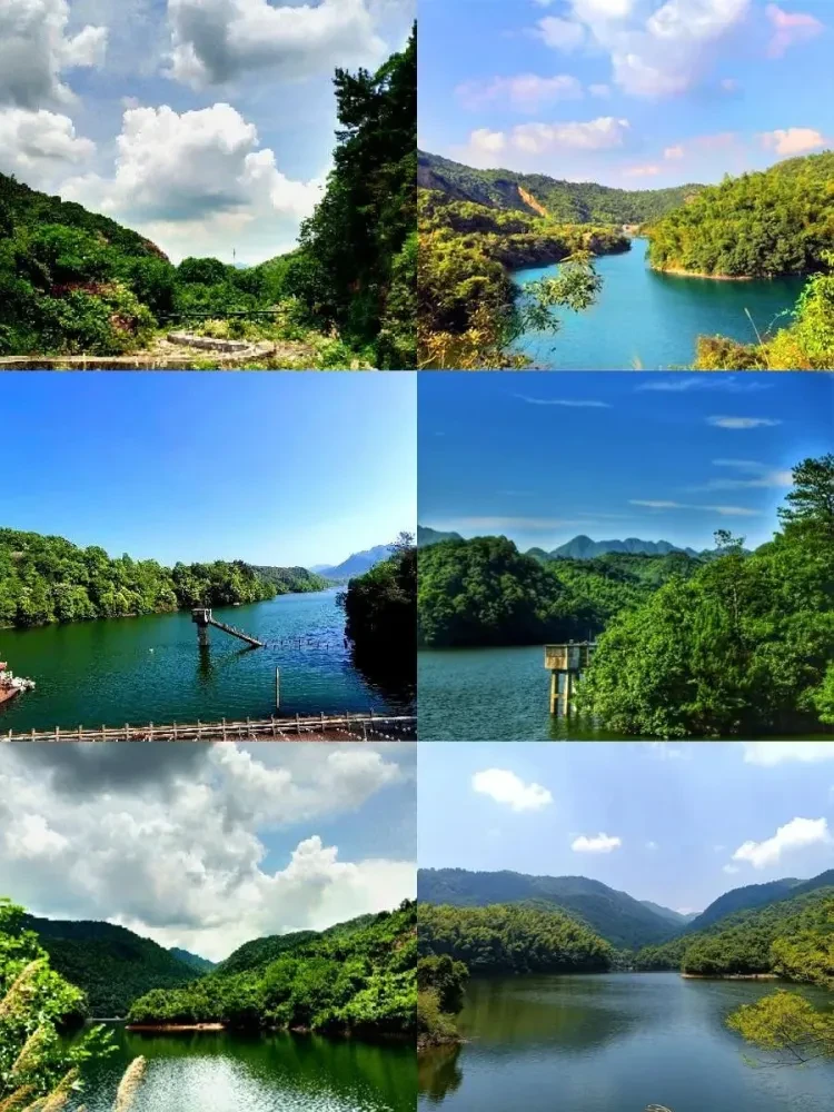 47ffd168d4f80afee49bc595db0a2e09-sz_211939