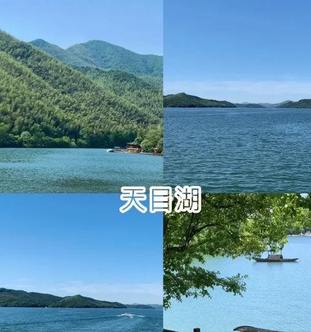 488a40cb3a65d3e4caf1b272d1d7841e-sz_622209