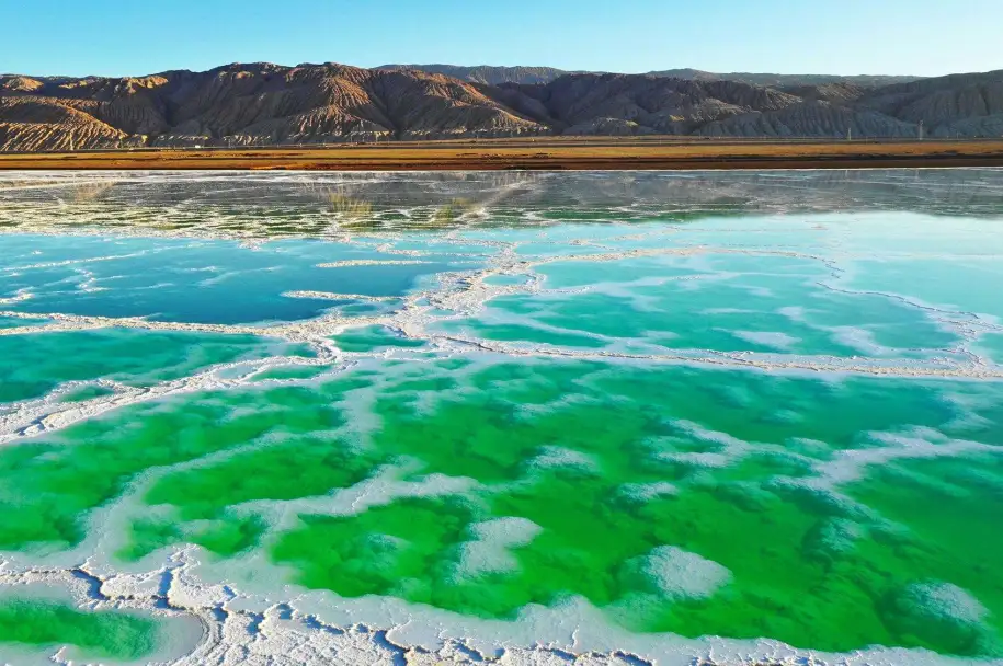 488be10bdeb3216ff8229180124a4b98-sz_351838