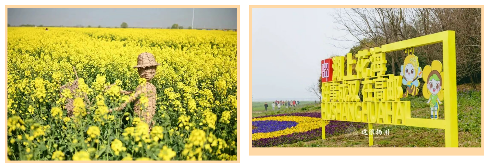 48df89f487d3d84cba1782d635c5e587 48df89f487d3d84cba1782d635c5e587