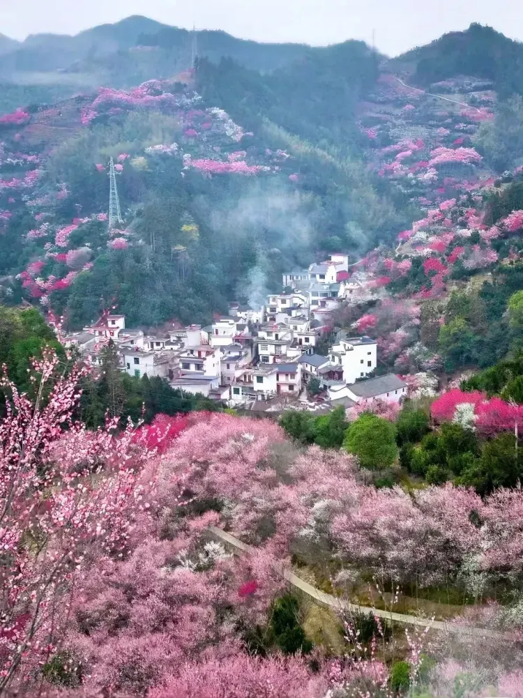 48e5a4c7df3a54c2c13ac99c3b998052-sz_1382228