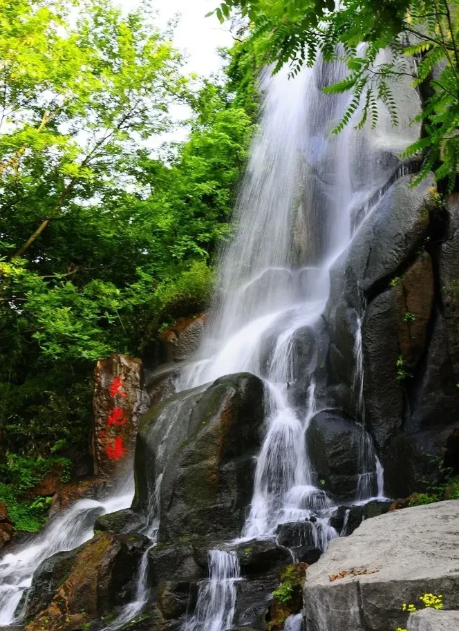 49021ea399496c3dacb032245cfbeed5-sz_1328340