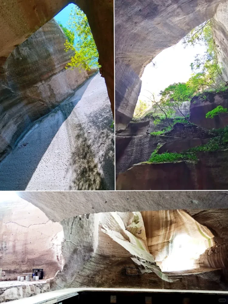 4905c0b1212bf3d45696186f58516c4f-sz_3491211