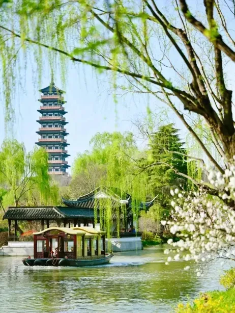 495ccbcda2fdea96398611d5a880f6a3-sz_264773