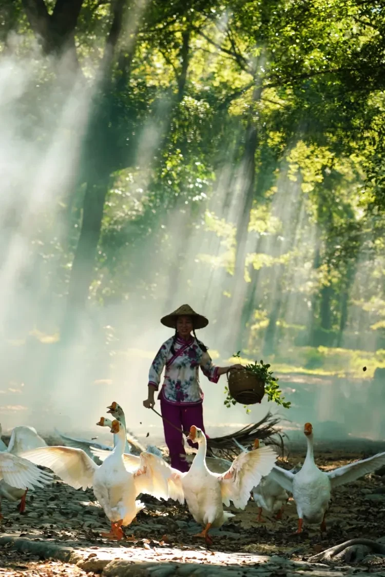 4a180796b35be64cbe0c48d033f8e556-sz_3529499