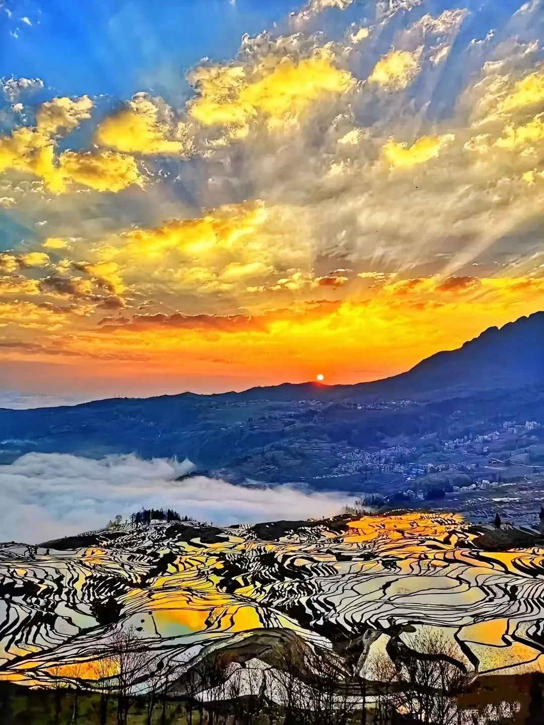 4a6cf6e792f52db1f37151e505f56f97-sz_1157565