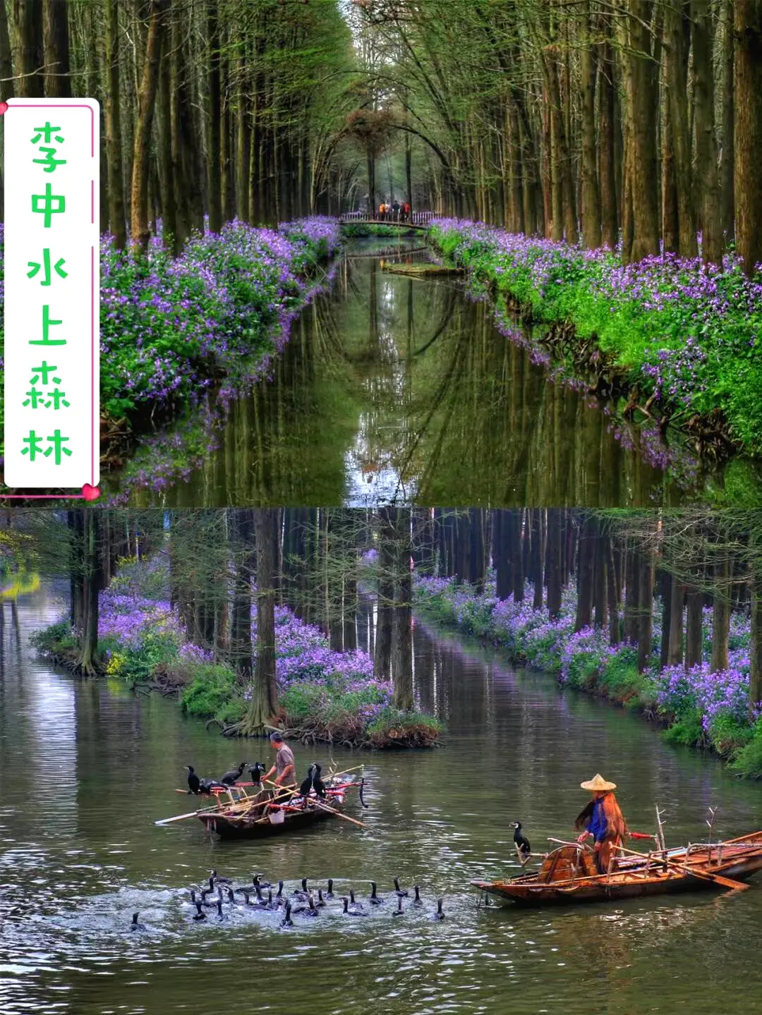 4a6e445251c259740c96a8d3fc6c974d-sz_302882