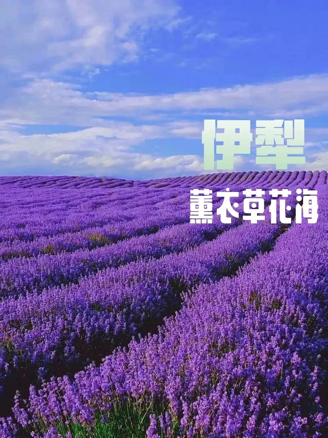 4a75ca34df2f093df12775239920821a-sz_2655725