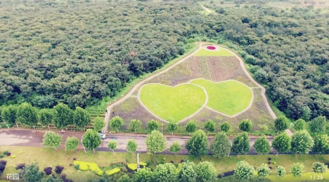 4a7897d1d193c5381eaf7f4b47a57277-sz_232073