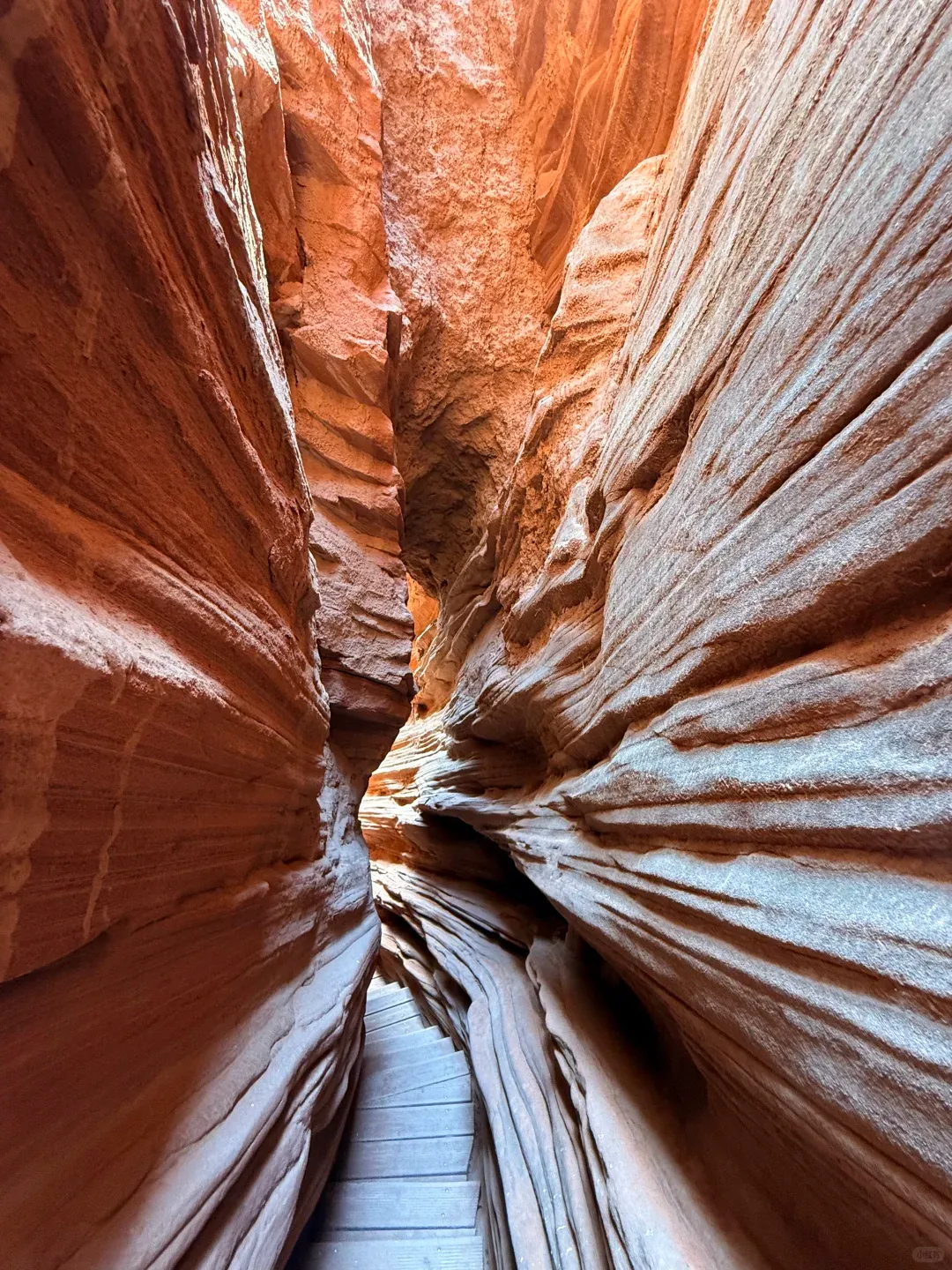 4ac41f3469b7e8563a269b7f6283d41c-sz_3218214