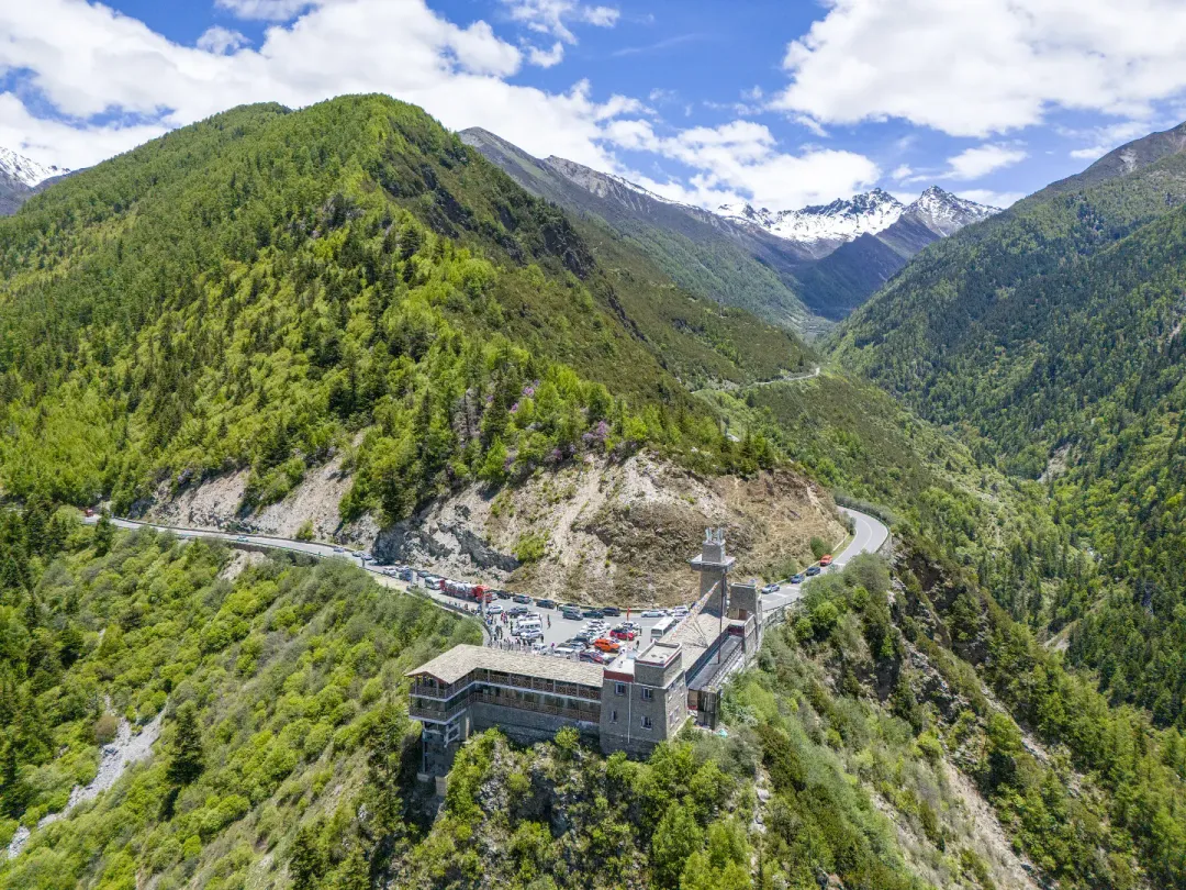 4b82a6f08bfa06757c6856e5a247d45d-sz_3481937 4b82a6f08bfa06757c6856e5a247d45d-sz_3481937